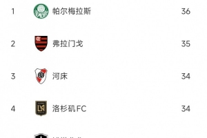 Speed Esports-世俱杯球队犯规榜：帕尔梅拉斯、弗拉门戈、河床3支南美队排前三